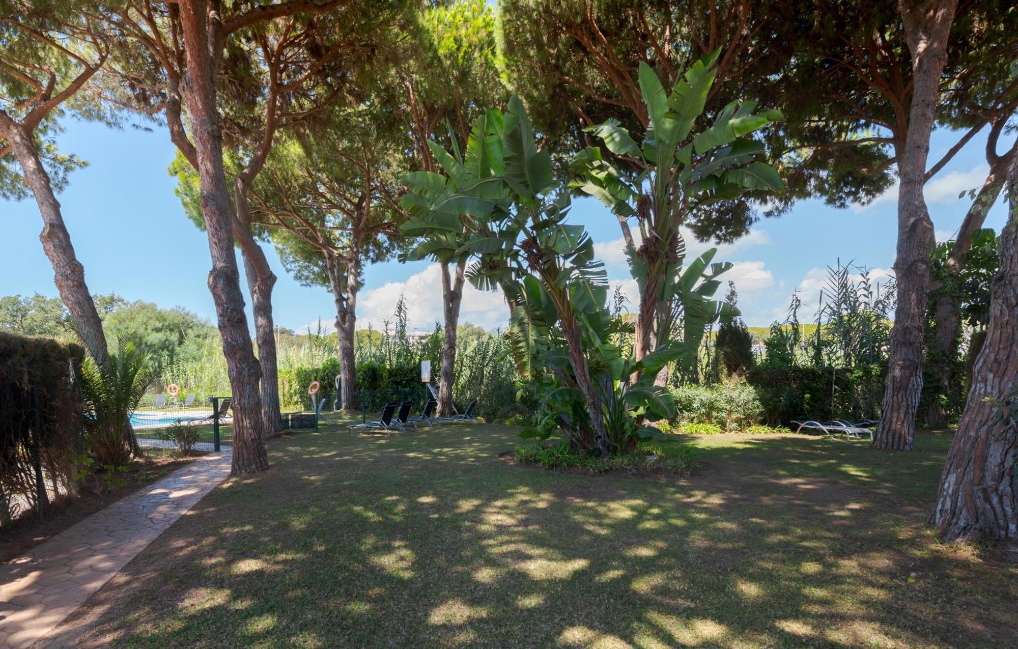 Wintowinrentals Townhouse, Pool & Beach Marbella Eksteriør billede